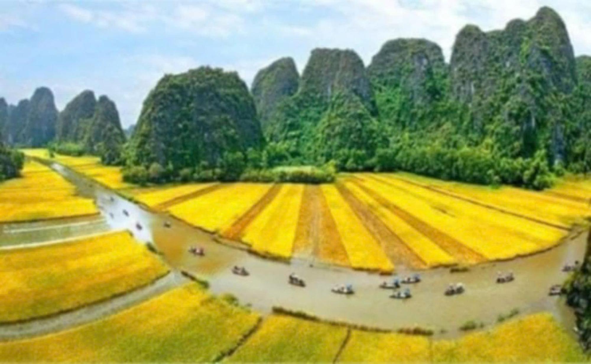 Homestay Tam Coc Pomelo Garden *