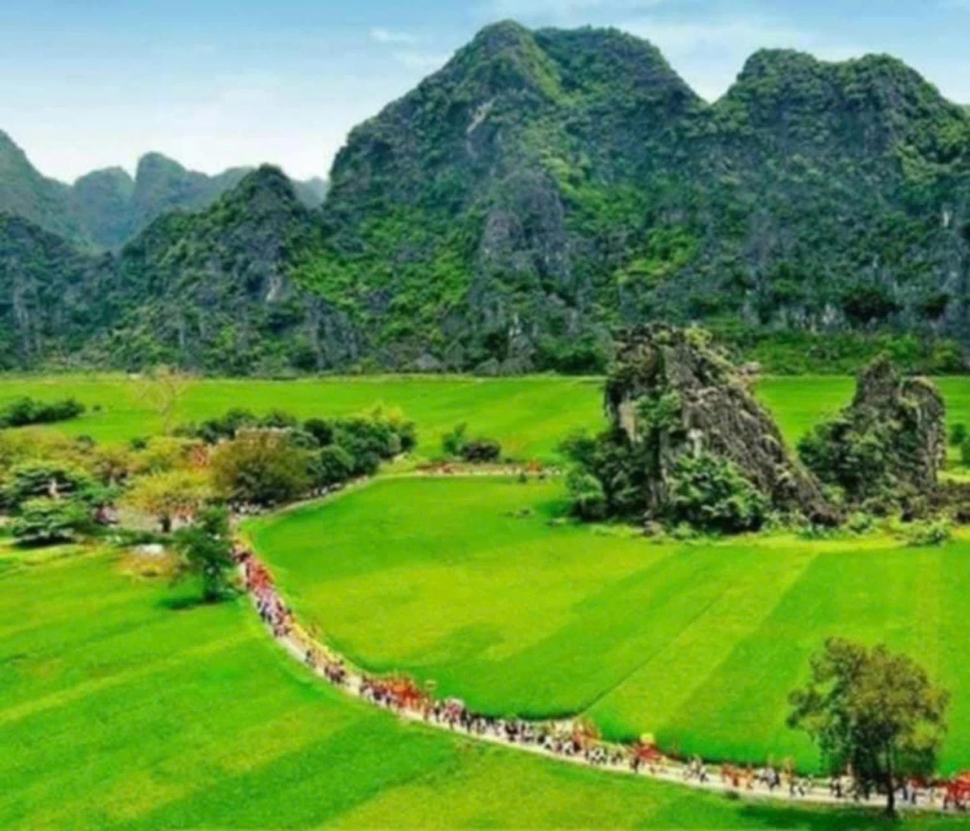 Tam Coc Pomelo Garden *