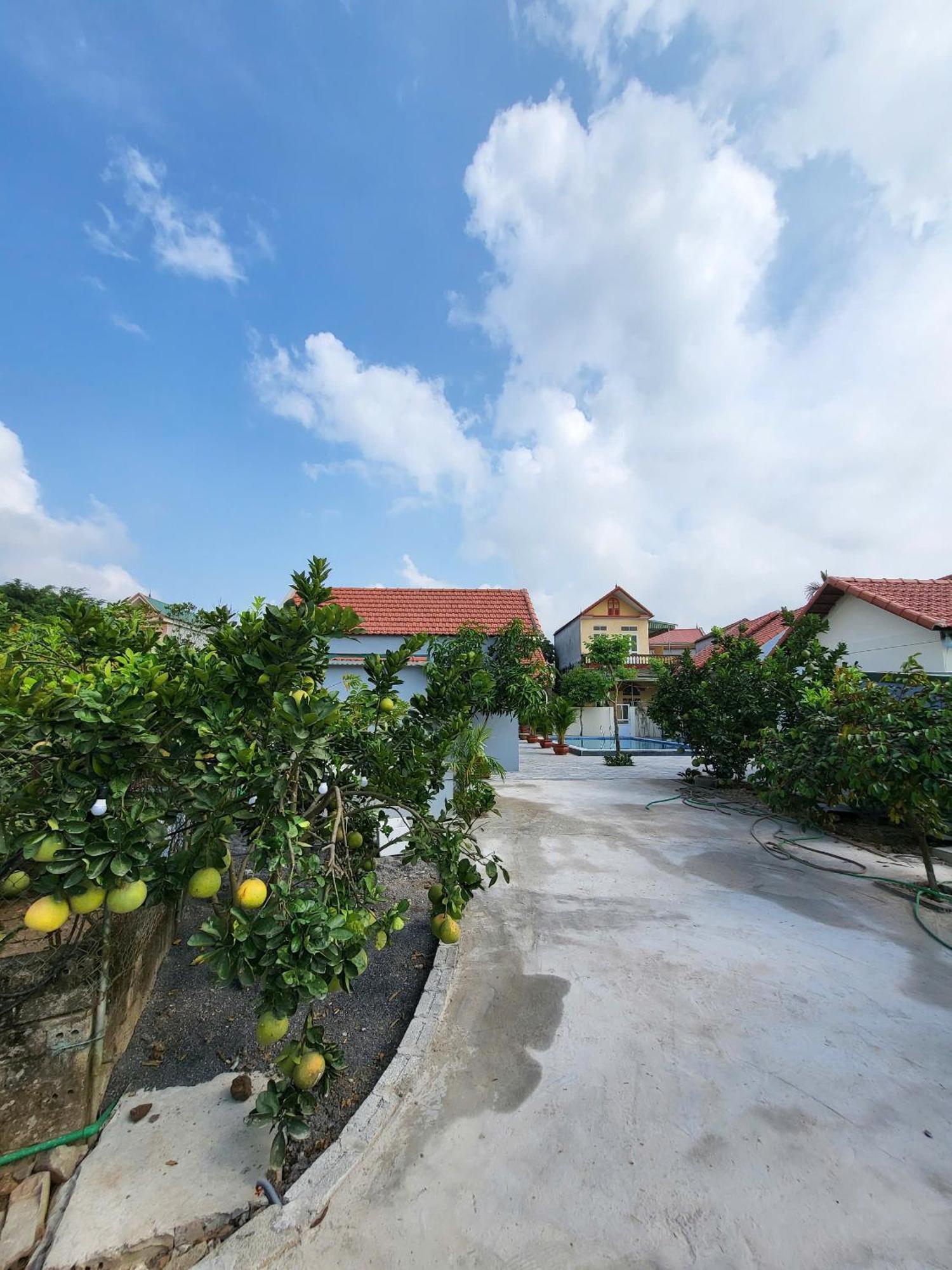 Homestay Tam Coc Pomelo Garden Ninh Binh