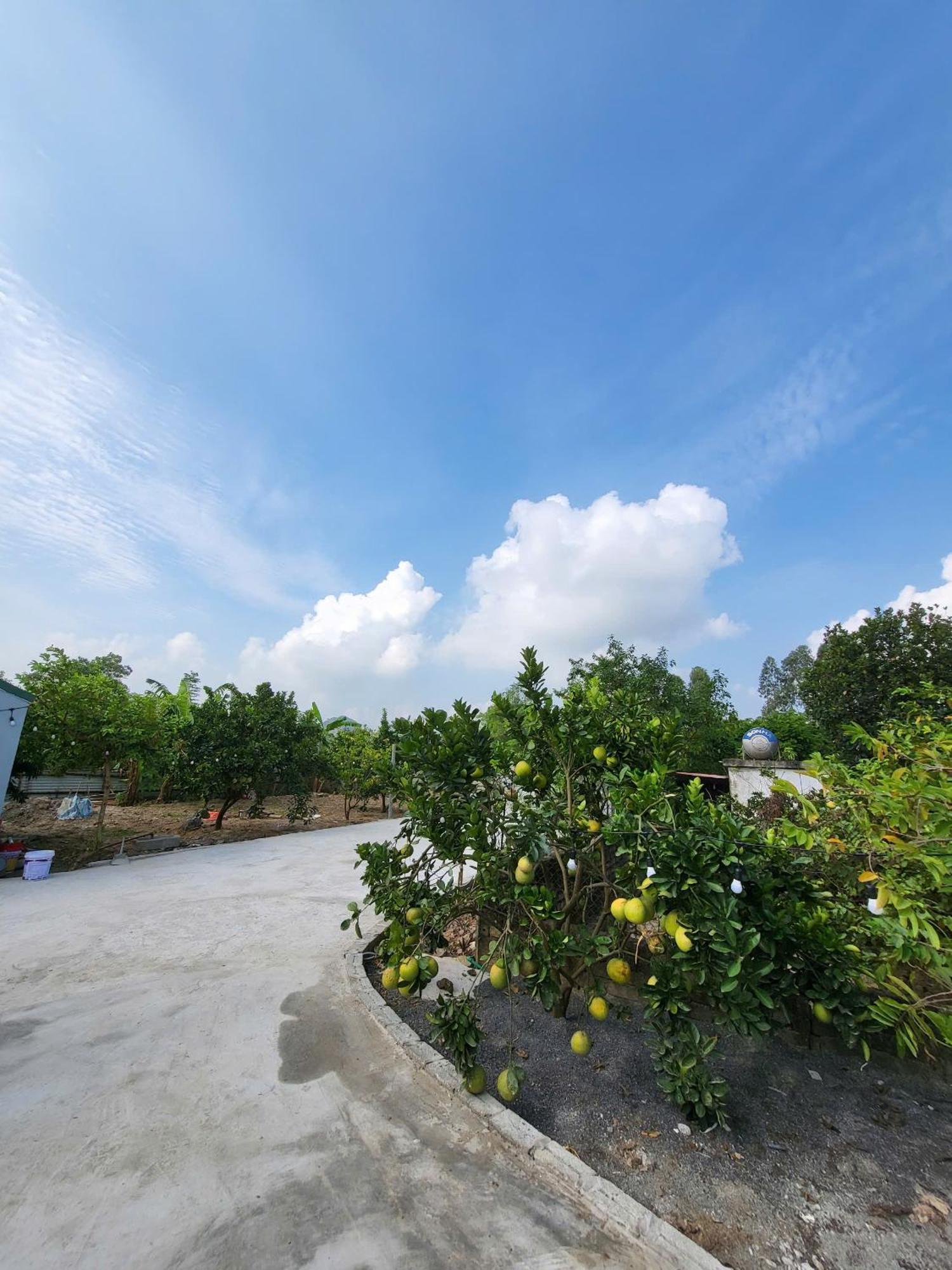 Tam Coc Pomelo Garden Homestay *