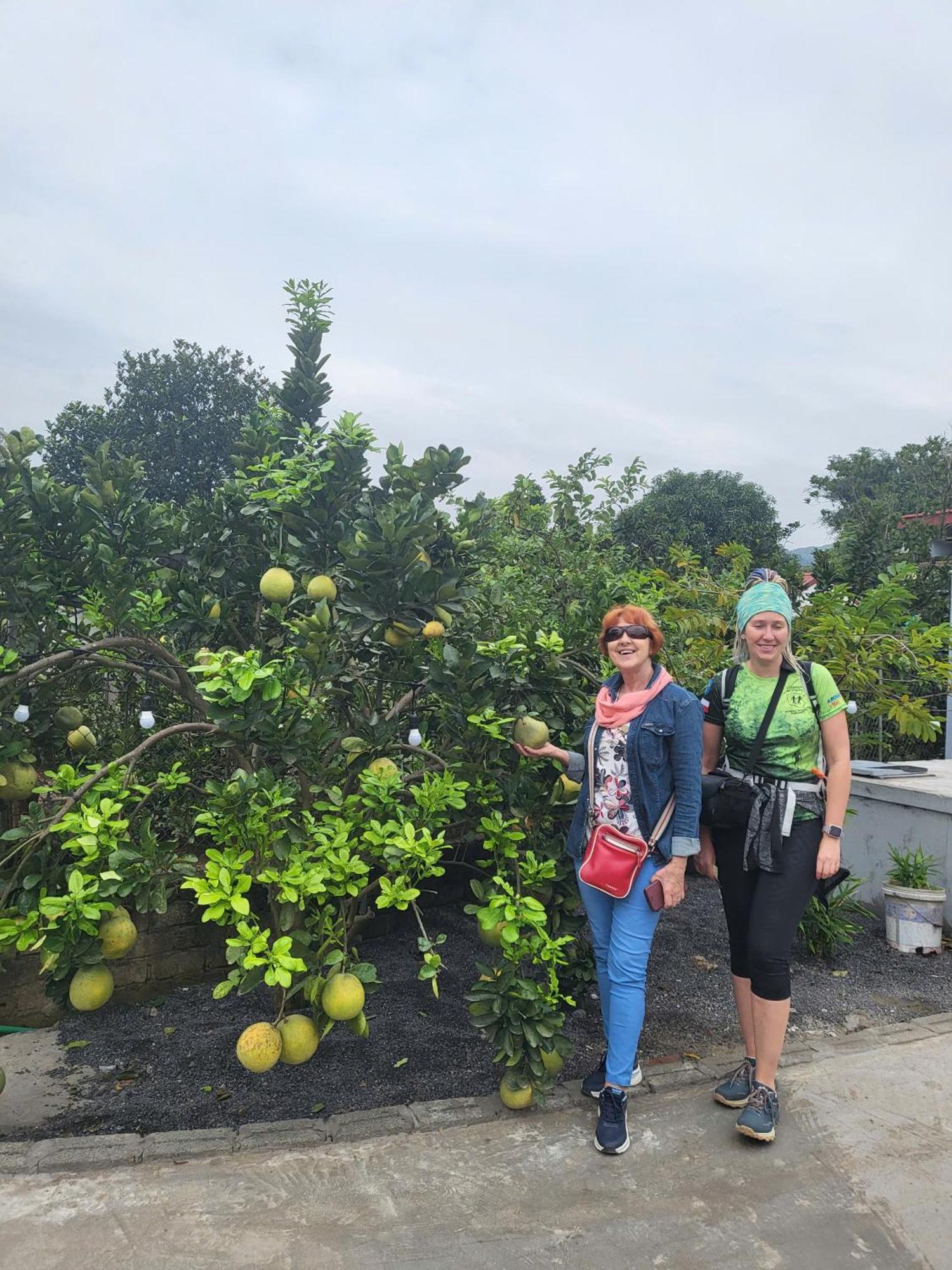 Tam Coc Pomelo Garden * Ninh Binh