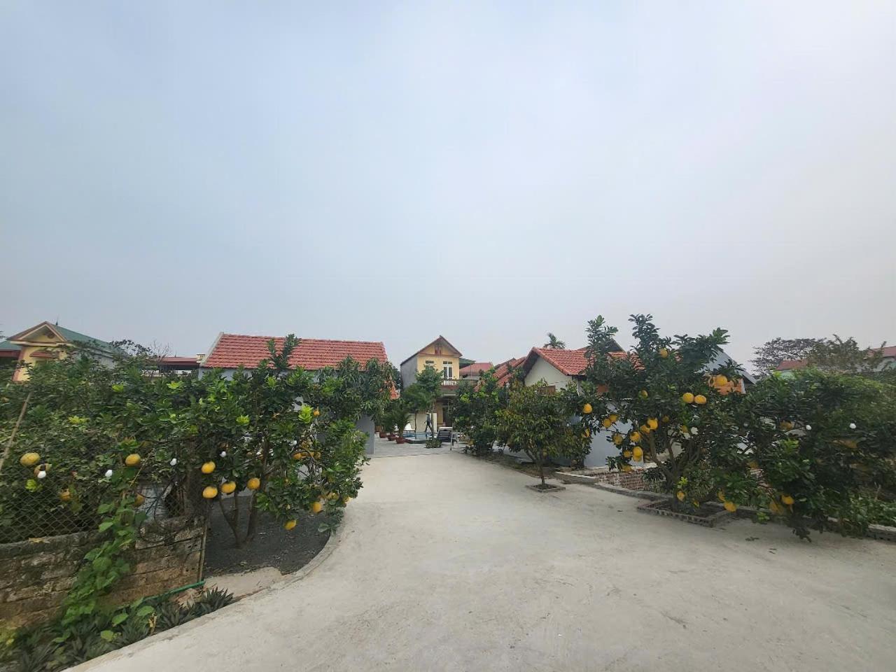 Homestay Tam Coc Pomelo Garden